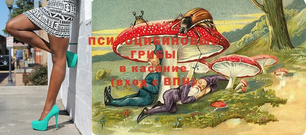 хмурый Навашино