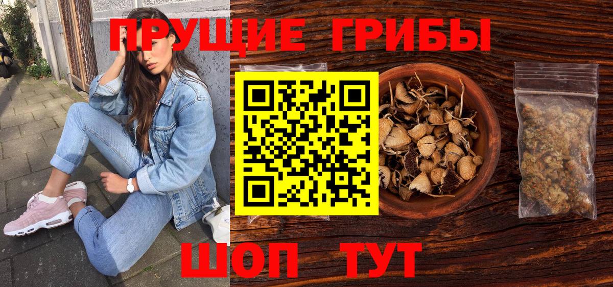 Псилоцибиновые грибы мухоморы Сургут